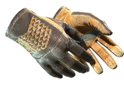 ★ Driver Gloves | Overtake