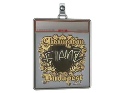 Sticker Slab | FlameZ (Gold, Champion) | Budapest 2025