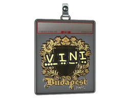 Sticker Slab | VINI (Gold) | Budapest 2025