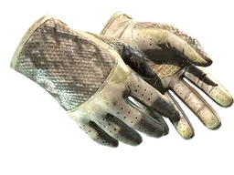 ★ Driver Gloves | King Snake