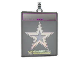 Sticker Slab | Complexity Gaming (Holo) | Copenhagen 2024