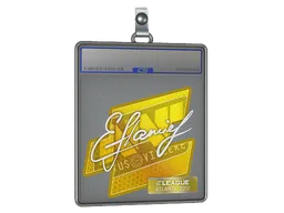 Sticker Slab | flamie | Atlanta 2017