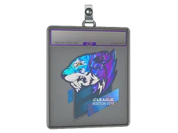 Sticker Slab | Flash Gaming (Holo) | Boston 2018