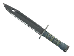 ★ Bayonet | Night
