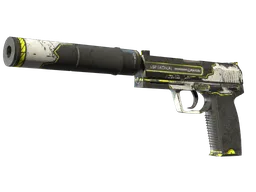 USP-S | Torque