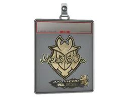 Sticker Slab | Aleksib (Gold) | Antwerp 2022