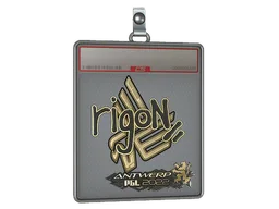 Sticker Slab | rigoN (Gold) | Antwerp 2022