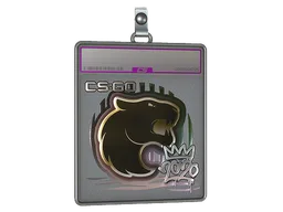 Sticker Slab | FURIA (Foil) | 2020 RMR