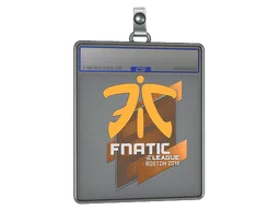 Sticker Slab | Fnatic | Boston 2018