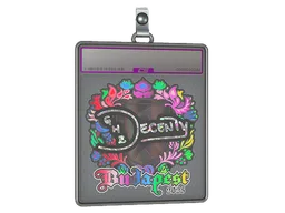 Sticker Slab | decenty (Holo) | Budapest 2025