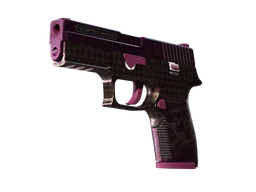 P250 | Vino Primo