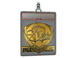 Sticker Slab | steel (Gold) | Krakow 2017