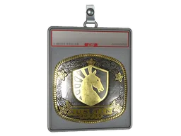 Sticker Slab | Team Liquid (Gold) | Austin 2025