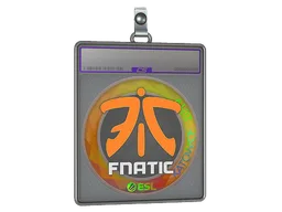 Sticker Slab | Fnatic (Holo) | Katowice 2019