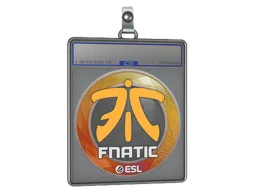 Sticker Slab | Fnatic | Katowice 2019