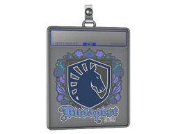 Sticker Slab | Team Liquid | Budapest 2025