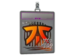 Sticker Slab | Fnatic (Foil) | 2020 RMR