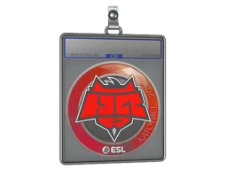 Sticker Slab | HellRaisers | Katowice 2019