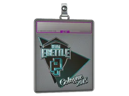 Sticker Slab | Team eBettle (Foil) | Cologne 2015