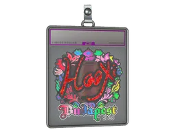 Sticker Slab | HooXi (Holo) | Budapest 2025