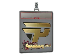 Sticker Slab | paiN Gaming (Gold) | Shanghai 2024