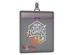 Sticker Slab | FlameZ (Holo) | Paris 2023