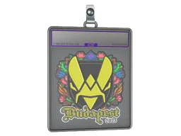 Sticker Slab | Vitality (Embroidered) | Budapest 2025