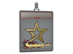 Sticker Slab | Complexity Gaming (Gold) | Shanghai 2024