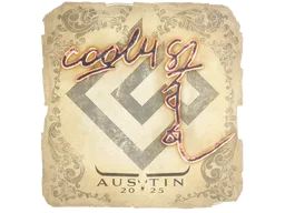 Sticker | cool4st | Austin 2025