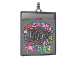 Sticker Slab | biguzera (Holo) | Budapest 2025