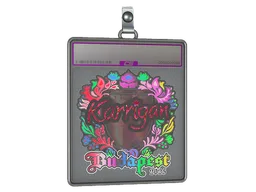 Sticker Slab | karrigan (Holo) | Budapest 2025