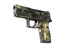 P250 | Contamination