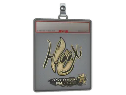 Sticker Slab | HooXi (Gold) | Antwerp 2022