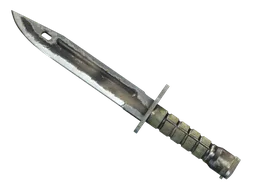 ★ Bayonet | Scorched