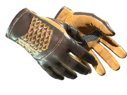 ★ Driver Gloves | Overtake (Factory New)