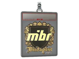 Sticker Slab | MIBR (Gold) | Budapest 2025