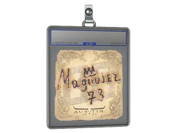 Sticker Slab | Magnojez | Austin 2025