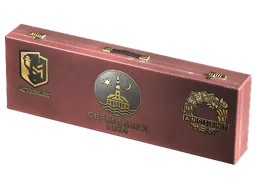 Copenhagen 2024 Ancient Souvenir Package