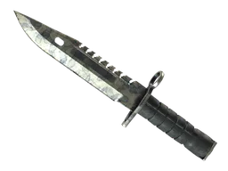 ★ M9 Bayonet | Stained
