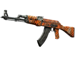 AK-47 | Safety Net
