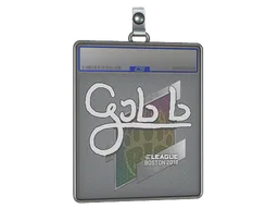 Sticker Slab | gob b | Boston 2018