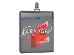Sticker Slab | karrigan | Boston 2018