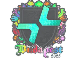 Sticker | PARIVISION (Holo) | Budapest 2025