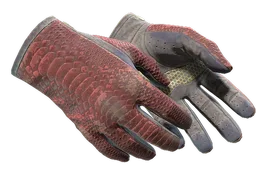 ★ Driver Gloves | Dragon Fists