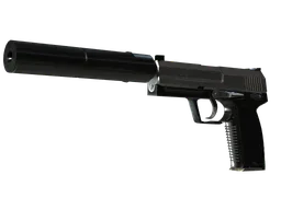USP-S | Stainless (Factory New)