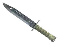 ★ Bayonet | Stained