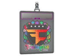 Sticker Slab | FaZe Clan (Holo) | Budapest 2025