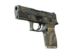 P250 | Exchanger