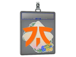 Sticker Slab | Fnatic | Rio 2022