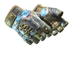 ★ Hydra Gloves | Case Hardened